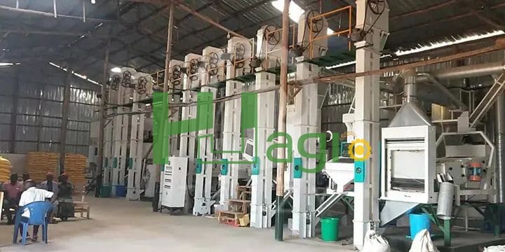 50-60t/d complete rice milling plant